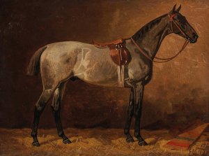 Grauer Schimmel im Stall by Emil Volkers Oil Painting