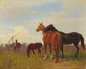 Horses on the Puszta by Emil Volkers Oil Painting