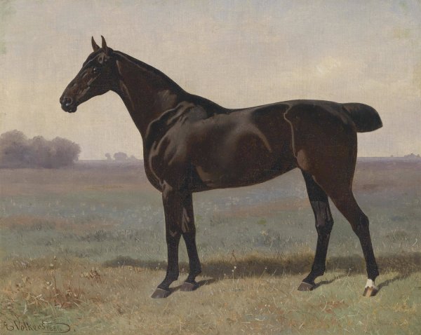 Main Product Photo of Rappe in Landschaft  Painting by Emil Volkers