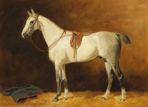 Saddled Grey in a Stable by Emil Volkers Oil Painting