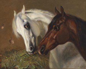 Zwei PferdekOpfe by Emil Volkers Oil Painting