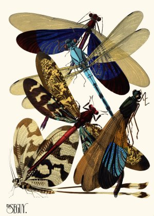 Insectes Pl.02 by Emile-Allain Seguy Oil Painting
