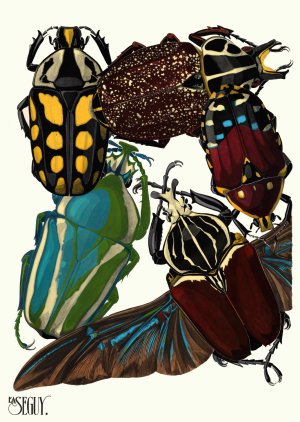 Insectes Pl.03 Oil painting by Emile-Allain Seguy