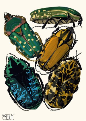 Insectes Pl.04 by Emile-Allain Seguy Oil Painting