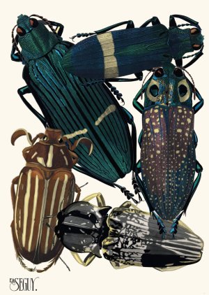 Insectes Pl.05 by Emile-Allain Seguy Oil Painting