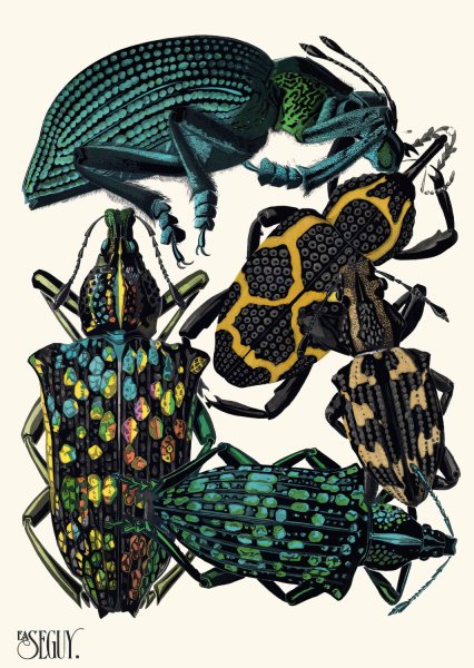 Insectes Pl.06  by Emile-Allain Seguy - Hand-Painted Oil Painting Reproduction