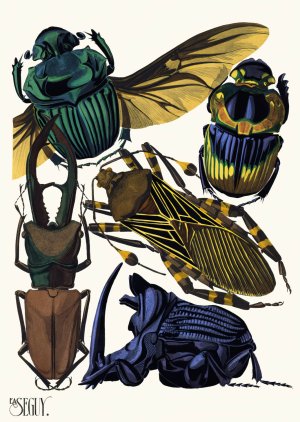 Insectes Pl.07 by Emile-Allain Seguy Oil Painting