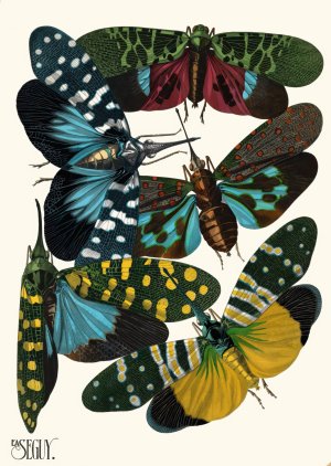 Insectes Pl.08 by Emile-Allain Seguy Oil Painting