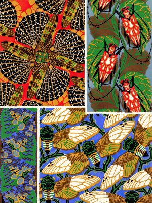 Insectes Pl.11 Oil painting by Emile-Allain Seguy