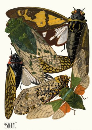 Insectes Pl.12 by Emile-Allain Seguy Oil Painting