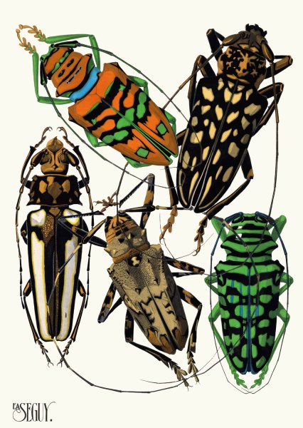 Insectes Pl.15  by Emile-Allain Seguy - Hand-Painted Oil Painting Reproduction