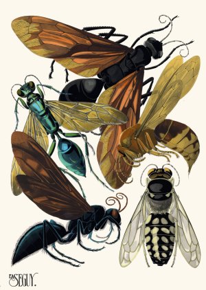 Insectes Pl.17 by Emile-Allain Seguy Oil Painting