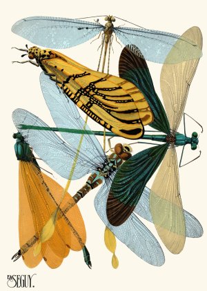 Insectes Pl.20 by Emile-Allain Seguy Oil Painting