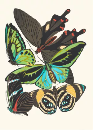 Papillons, Pl. 1 by Emile-Allain Seguy Oil Painting