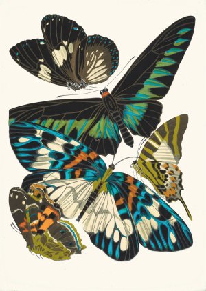 Papillons, Pl. 10 by Emile-Allain Seguy Oil Painting