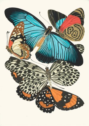 Papillons, Pl. 11 Oil painting by Emile-Allain Seguy