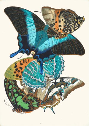 Papillons, Pl. 13 by Emile-Allain Seguy Oil Painting