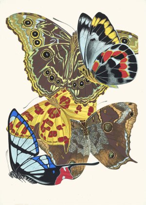 Papillons, Pl. 15 by Emile-Allain Seguy Oil Painting