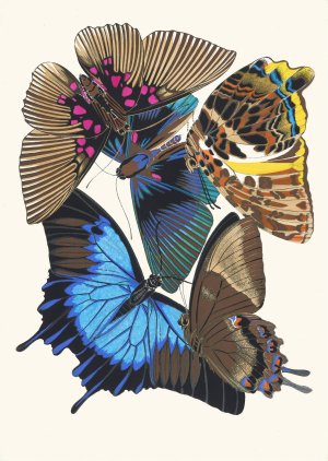 Papillons, Pl. 16 by Emile-Allain Seguy Oil Painting