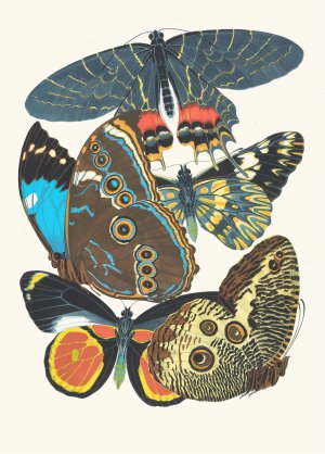 Papillons, Pl. 2 Oil painting by Emile-Allain Seguy