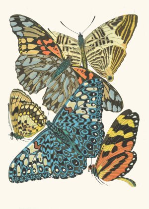 Papillons, Pl. 3 by Emile-Allain Seguy Oil Painting