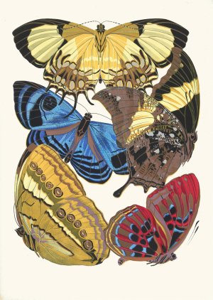Papillons, Pl. 4 by Emile-Allain Seguy Oil Painting