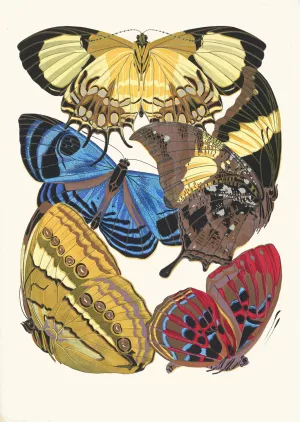 Papillons, Pl. 4 by Emile-Allain Seguy Oil Painting