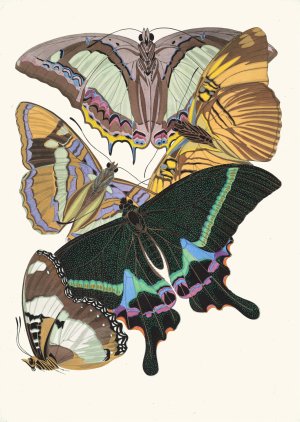 Papillons, Pl. 8 by Emile-Allain Seguy Oil Painting