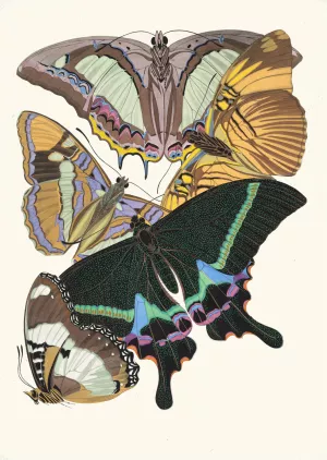 Papillons, Pl. 8 by Emile-Allain Seguy Oil Painting