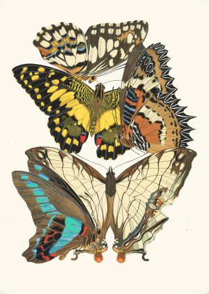 Papillons, Pl. 9 by Emile-Allain Seguy Oil Painting