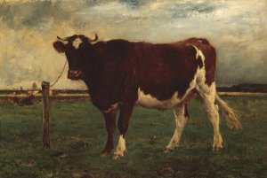 Study of a Cow by Emile Van Marcke De Lummen Oil Painting