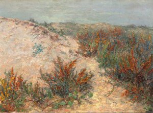 Dunen mit Stranddorn bei Knokke by Emilie Mediz-Pelik Oil Painting
