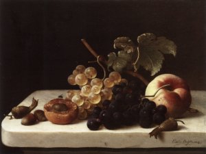 Grapes Acorns and Apricots on a Marble Ledge
