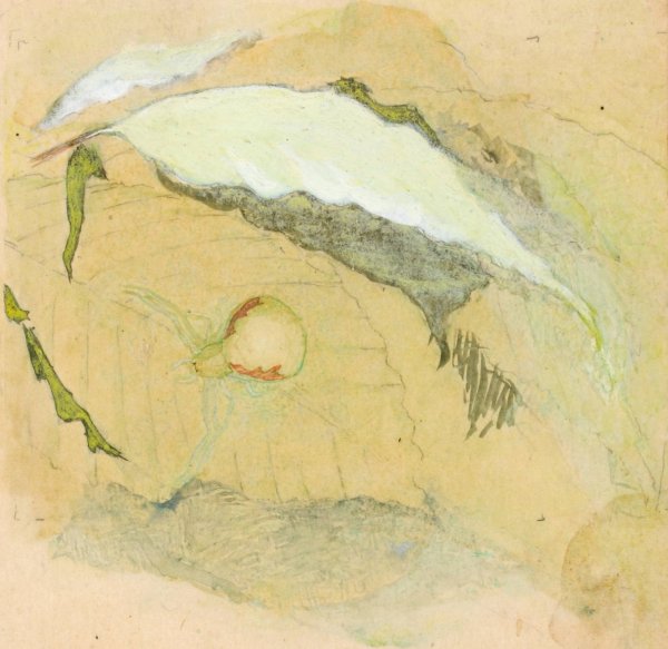 Porcelain-White Spider by Emma Beach Thayer - Hand-Painted Oil Painting Reproduction