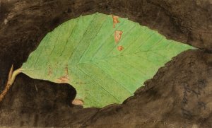 Smaller Spotted Beach Leaf Edge Caterpillar by Emma Beach Thayer Oil Painting