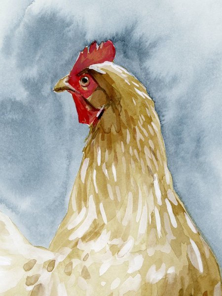 Main Product Photo of Chicken Portrait I Painting by Emma Caroline