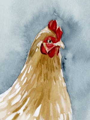 Chicken Portrait II Oil painting by Emma Caroline