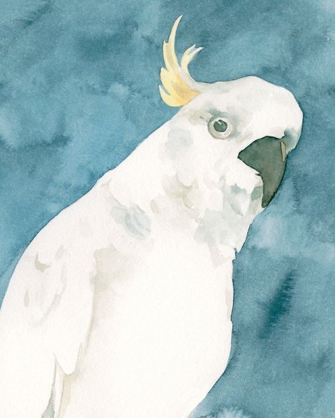 Main Product Photo of Cockatoo Portrait I Painting by Emma Caroline