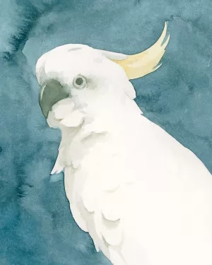 Cockatoo Portrait II by Emma Caroline Oil Painting