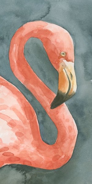 Flamingo Study I by Emma Caroline Oil Painting