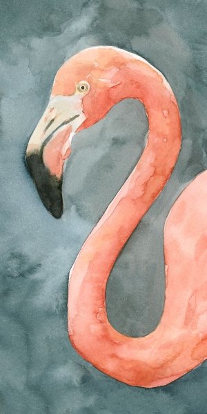 Flamingo Study II by Emma Caroline Oil Painting