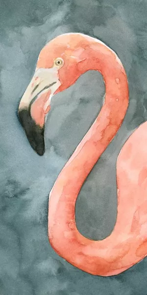 Flamingo Study II by Emma Caroline Oil Painting