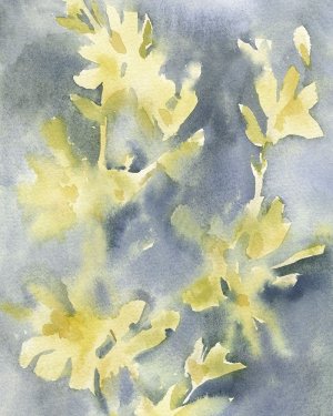 Forsythia Blooms II by Emma Caroline Oil Painting
