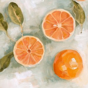 Fresh Citrus III by Emma Scarvey Oil Painting
