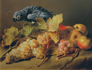 Stillleben Mit Papagei Und Trauben by Erasmus Von Engert Oil Painting