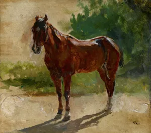 Brown Horse, Study by Ernest Meissonier Oil Painting
