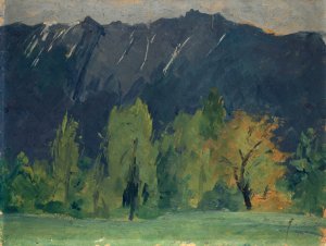 Mountain Landscape Oil painting by Ernst Schiess