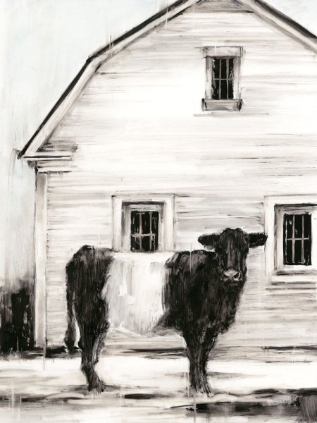 Belted Galloway I by Ethan Harper - Hand-Painted Oil Painting Reproduction
