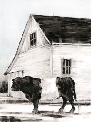 Belted Galloway II by Ethan Harper Oil Painting
