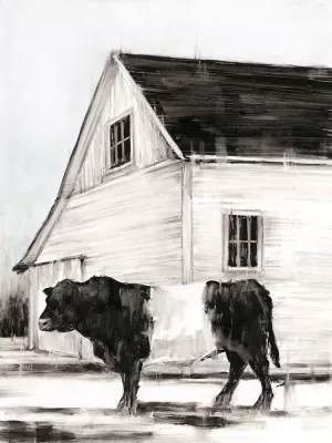 Belted Galloway II by Ethan Harper Oil Painting